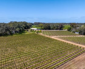 Rural / Farming commercial property for sale at 9 Saltmarsh Road Langhorne Creek SA 5255