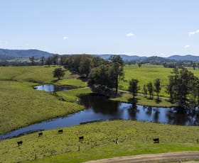 Rural / Farming commercial property sold at Lot 47 Fosterton Road Dungog NSW 2420