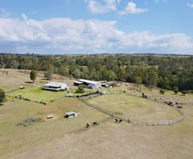 Rural / Farming commercial property for sale at 69 Hofstetter Road Morganville QLD 4671