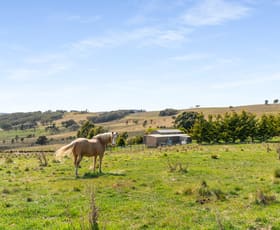 Rural / Farming commercial property sold at 123 Fisher Road Goulburn NSW 2580
