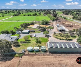 Rural / Farming commercial property for sale at 1305 Curr Road Kyabram VIC 3620