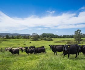 Rural / Farming commercial property for sale at 673 Summer Hill Road Vacy NSW 2421