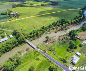 Rural / Farming commercial property for sale at 3-5 No.5 Branch Road Silkwood QLD 4856