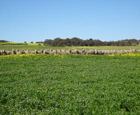 Rural / Farming commercial property for sale at Lot 12520 Great Southern Highway Woodanilling WA 6316