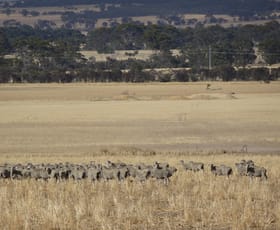 Rural / Farming commercial property for sale at Lot 12520 Great Southern Highway Woodanilling WA 6316