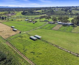 Rural / Farming commercial property for sale at 178 Hibberts Lane Freemans Reach NSW 2756