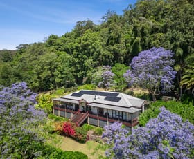 Rural / Farming commercial property for sale at 40 Bumbles Creek Road Ourimbah NSW 2258