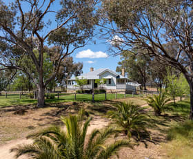 Rural / Farming commercial property sold at 2160 Castlereagh Highway Mudgee NSW 2850
