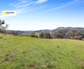 Rural / Farming commercial property for sale at 837 Goobarragandra Road Tumut NSW 2720