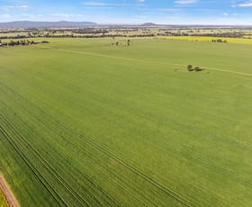 Rural / Farming commercial property for sale at 1510 Weedallion Road Young NSW 2594