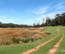 Rural / Farming commercial property for sale at 45 Murphys Creek Road Old Bonalbo NSW 2469