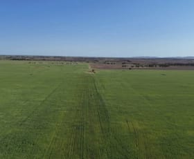 Rural / Farming commercial property sold at 12056 Mullewa-Wubin Road Perenjori WA 6620