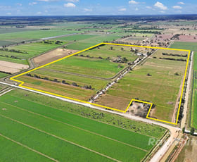 Rural / Farming commercial property for sale at 1239 McBain Road Tongala VIC 3621