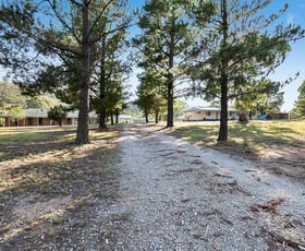 Rural / Farming commercial property for sale at 1015 Windeyer Road Mudgee NSW 2850