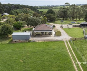 Rural / Farming commercial property for sale at 177 Tunk Head Road Parawa SA 5203