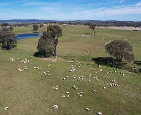 Rural / Farming commercial property sold at 359 Winfarthing Road Marulan NSW 2579
