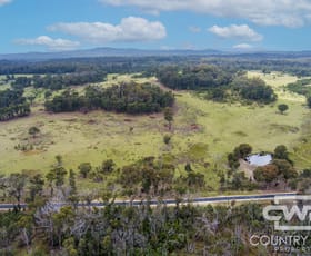 Rural / Farming commercial property for sale at 92, 470 Silent Grove Road Torrington NSW 2371
