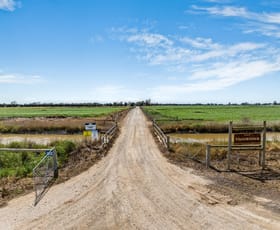 Rural / Farming commercial property for sale at 1070 & 1072 White Road Girgarre VIC 3624