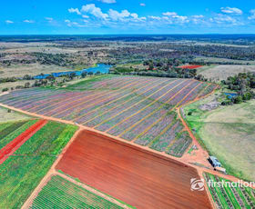 Rural / Farming commercial property for sale at South Kolan QLD 4670