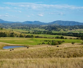 Rural / Farming commercial property for sale at 311 Miranee Road Gundy NSW 2337
