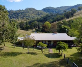 Rural / Farming commercial property for sale at 311 Miranee Road Gundy NSW 2337