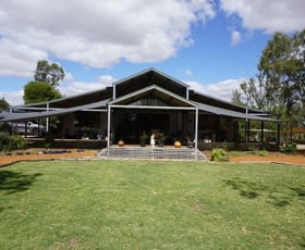 Rural / Farming commercial property sold at Lot 100 Spain Street Coorow WA 6515