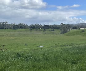 Rural / Farming commercial property for sale at 3554 Lavers Hill - Cobden Road Kennedys Creek VIC 3239
