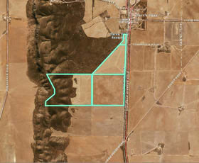 Rural / Farming commercial property sold at 169 Dog Fence Road Kielpa SA 5642