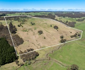 Rural / Farming commercial property sold at 72 Millers Lane Chatham Valley NSW 2787