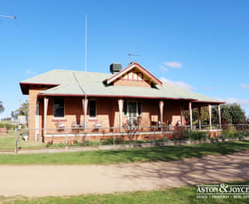 Rural / Farming commercial property for sale at 3378 Mid Western Highway Grenfell NSW 2810