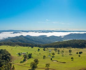 Rural / Farming commercial property for sale at 669 Costigans Road Yarras NSW 2446