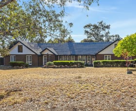 Rural / Farming commercial property sold at 146 Precolumb Road One Tree Hill SA 5114
