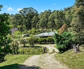 Rural / Farming commercial property for sale at 1880 Glendonbrook Road Gresford NSW 2311