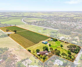 Rural / Farming commercial property for sale at 76 St Andrews Terrace Willunga South SA 5172