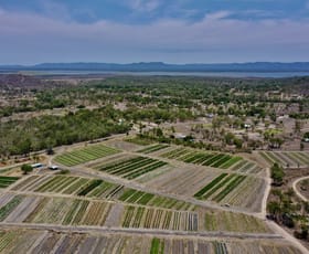 Rural / Farming commercial property for sale at 1 Greta Road Oak Valley QLD 4811