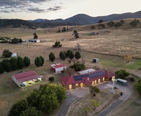 Rural / Farming commercial property for sale at 6415 Monaro Highway Michelago NSW 2620