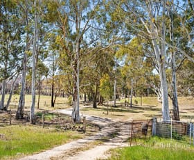 Rural / Farming commercial property sold at 178 Back Raglan Road Beaufort VIC 3373