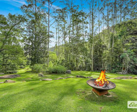 Rural / Farming commercial property for sale at 87 Kingtree Lane Cedar Brush Creek NSW 2259
