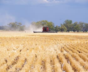 Rural / Farming commercial property for sale at 256 Bald Hill Road Narrabri NSW 2390