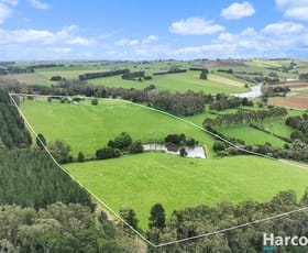 Rural / Farming commercial property for sale at 1915 Strzelecki Highway Delburn VIC 3871