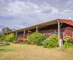 Rural / Farming commercial property for sale at 264 Conimbla Road Cowra NSW 2794