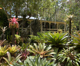 Rural / Farming commercial property sold at 447 Terania Creek Road The Channon NSW 2480