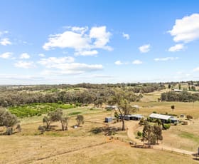 Rural / Farming commercial property for sale at 59 Friends Lane Young NSW 2594