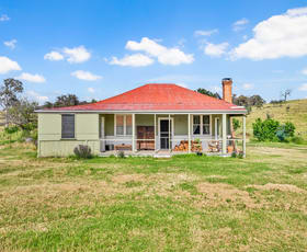 Rural / Farming commercial property for sale at 515 Wallawaugh Road Mudgee NSW 2850