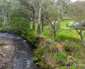 Rural / Farming commercial property sold at 234 Timbarra Settlement Road Buchan VIC 3885