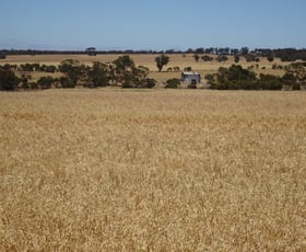 Rural / Farming commercial property sold at Bolts Road Wagin WA 6315