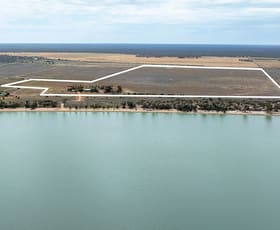 Rural / Farming commercial property for sale at 858 Queen Elizabeth Drive Barmera SA 5345