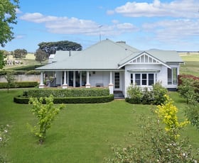 Rural / Farming commercial property for sale at 7615 Hamilton Highway Tarrington VIC 3301