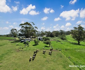 Rural / Farming commercial property for sale at 482 Old Whitelaws Track Devon North VIC 3971