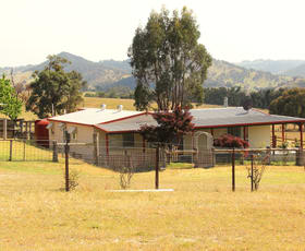 Rural / Farming commercial property for sale at 7553 New England Highway Tenterfield NSW 2372